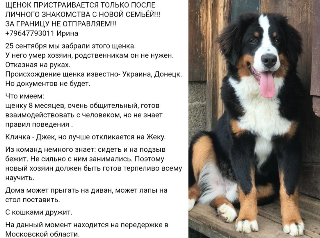 imgonline-com-ua-2to1-2wkdKT1YTkucYN.jpg