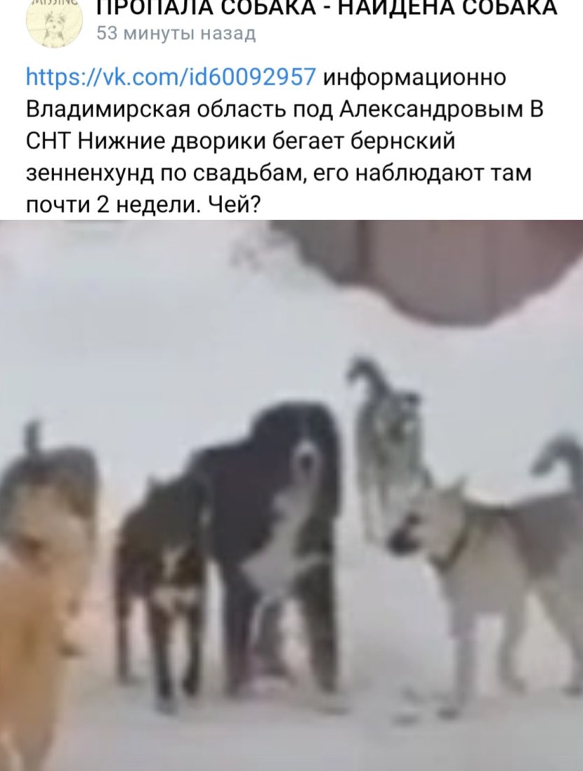 imgonline-com-ua-2to1-6ZVyWGE9Gew3r.jpg