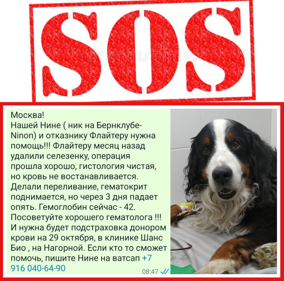 imgonline-com-ua-2to1-86Ysrn1nqeVoPSb.jpg
