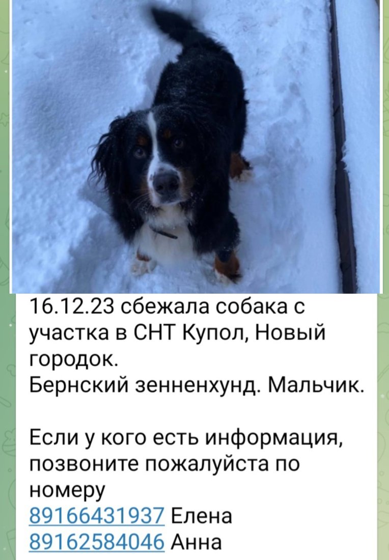 imgonline-com-ua-2to1-Hf6SbTQ0QuzSuA-1.jpg