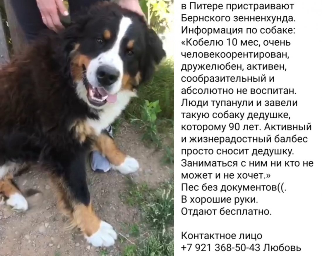imgonline-com-ua-2to1-iMZFKiezNVnB.jpg