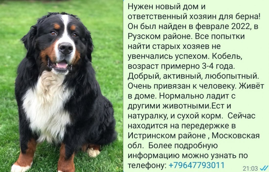 imgonline-com-ua-2to1-jhMSgC6sMqTAY3.jpg