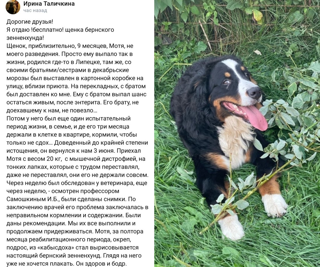 imgonline-com-ua-2to1-jJQTAfZCKjXUiH6I.jpg