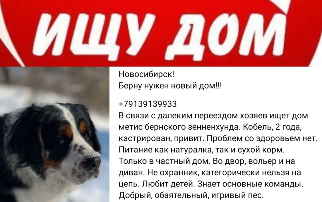 imgonline-com-ua-2to1-L7RjTxxsjsWim7uE.jpg
