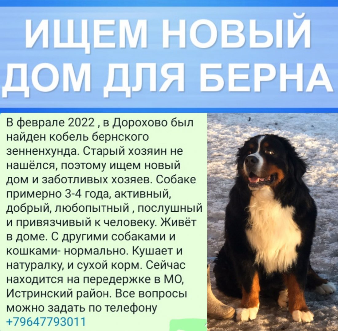 imgonline-com-ua-2to1-PBFNybfLSmiRF.jpg