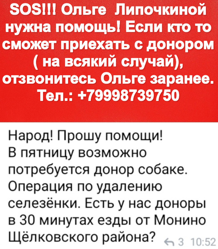 imgonline-com-ua-2to1-PTZeWP8Ow0R.jpg