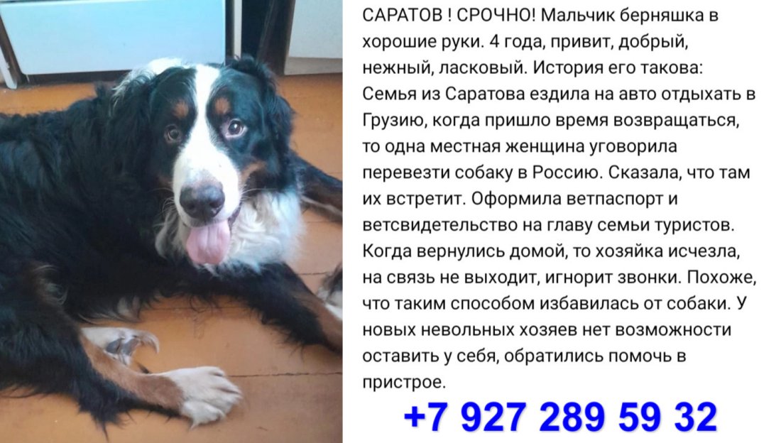 imgonline-com-ua-2to1-rtoOlw35kjEH.jpg