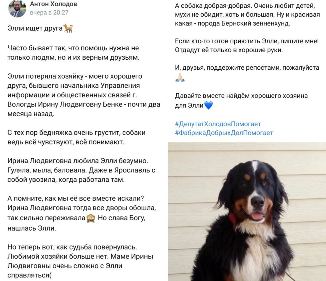 imgonline-com-ua-2to1-ULPecpCDvP3K.jpg