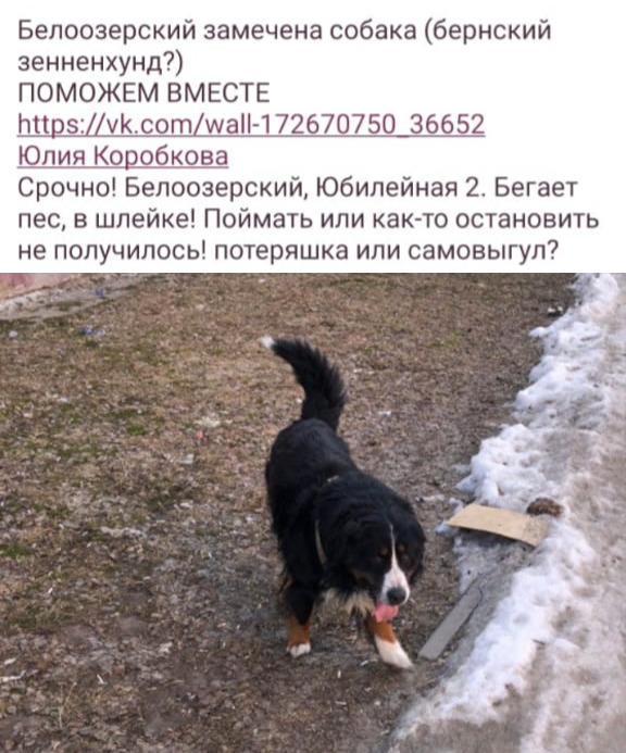 imgonline-com-ua-2to1-vmnyuldIpGwHIVX0.jpg
