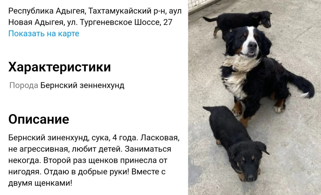 imgonline-com-ua-2to1-vsDghIUQxS7BRO.jpg