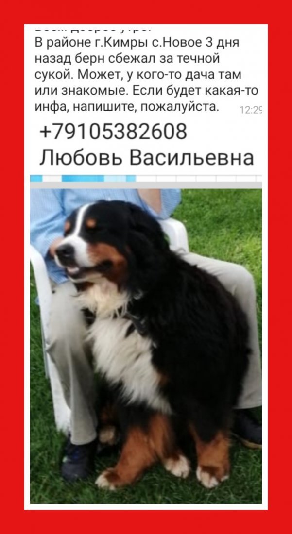 imgonline-com-ua-Frame-colored-PD3AJOEgsqQlAP.jpg