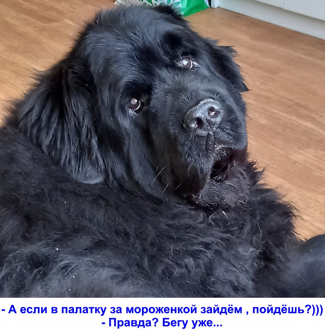 imgonline-com-ua-Text-on-Image-D7vwgAH64q0c.jpg