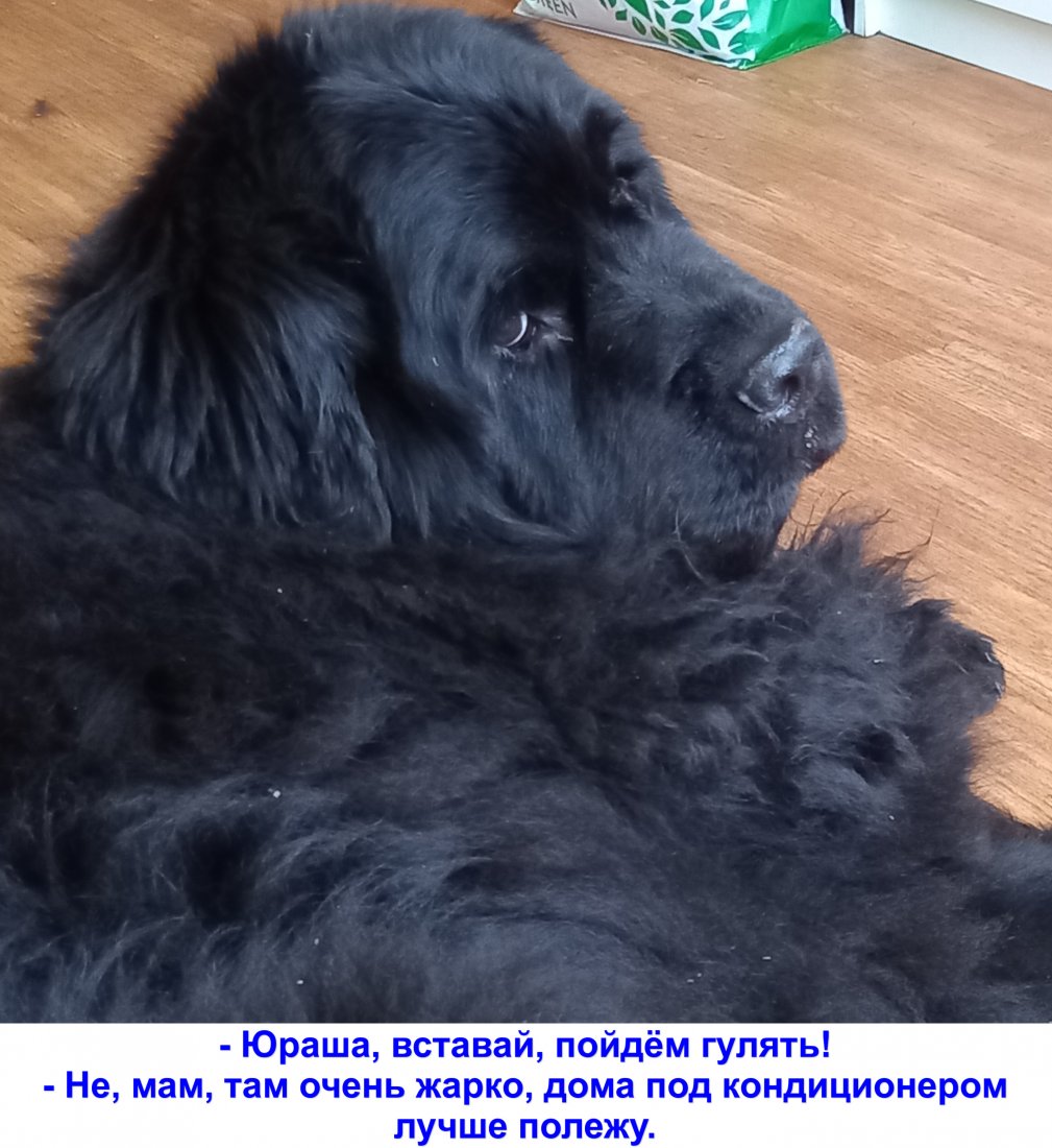 imgonline-com-ua-Text-on-Image-LNRHrMCwHL.jpg