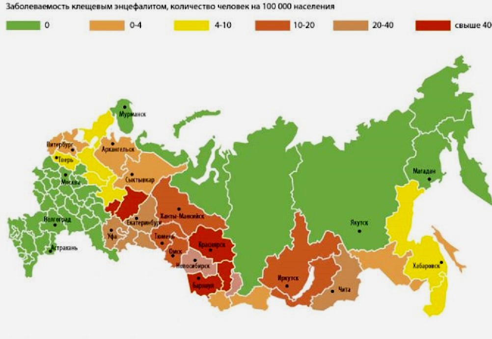 karta-klesh-668x461.jpg