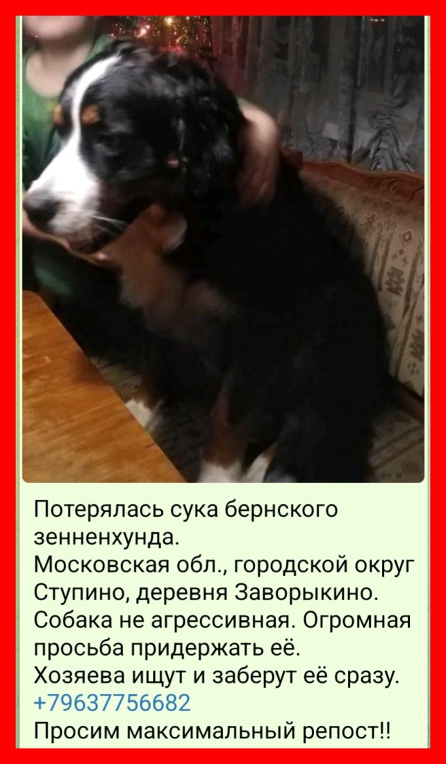 luxa.org-bordered-._Screenshot_20250203_130657_Telegram.jpg