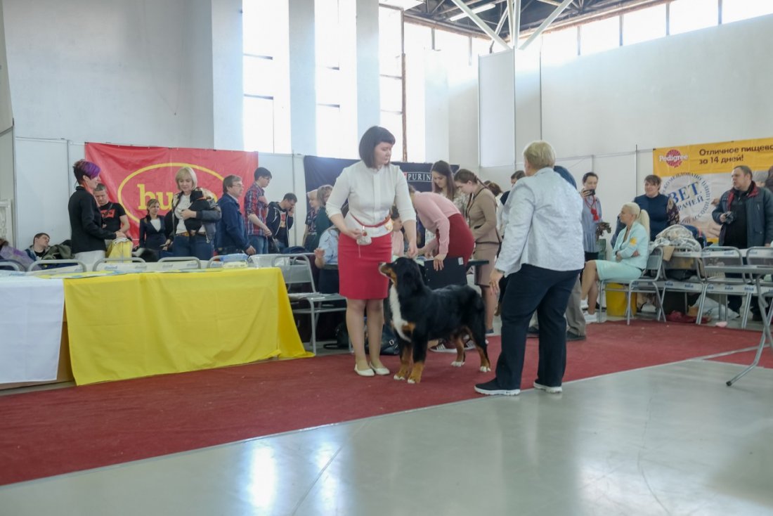 Nata-Skazka.ru-5_2c09ce79.jpg