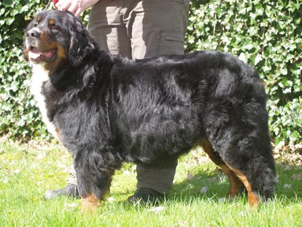 Nora stand 2,5 jaar 250.jpg