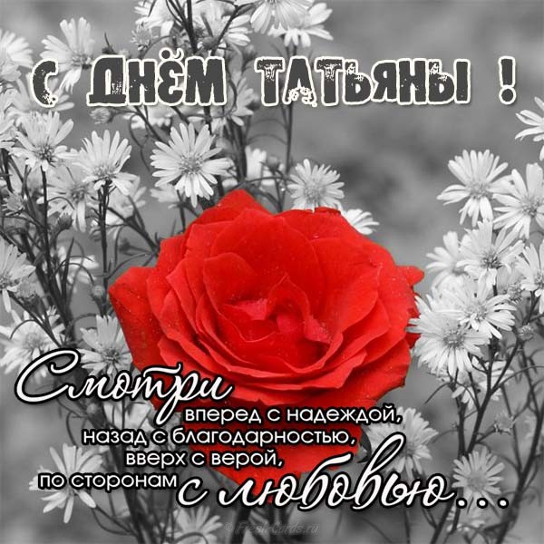 otkrytka-s-dnem-tatyany-besplatno-s-pozhelaniyami.jpg