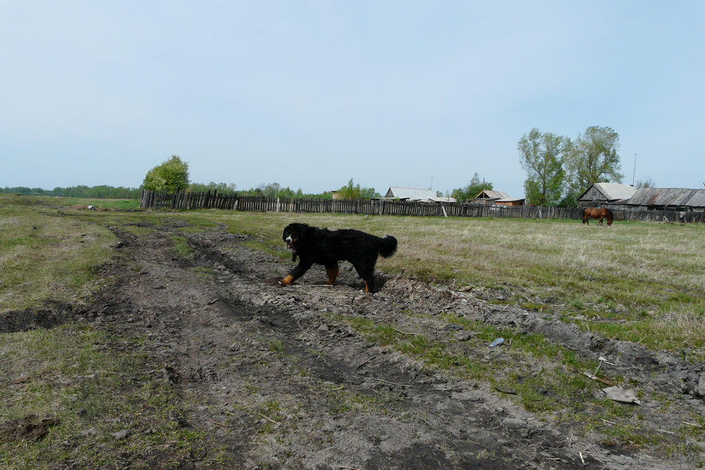 P1080857-m.JPG