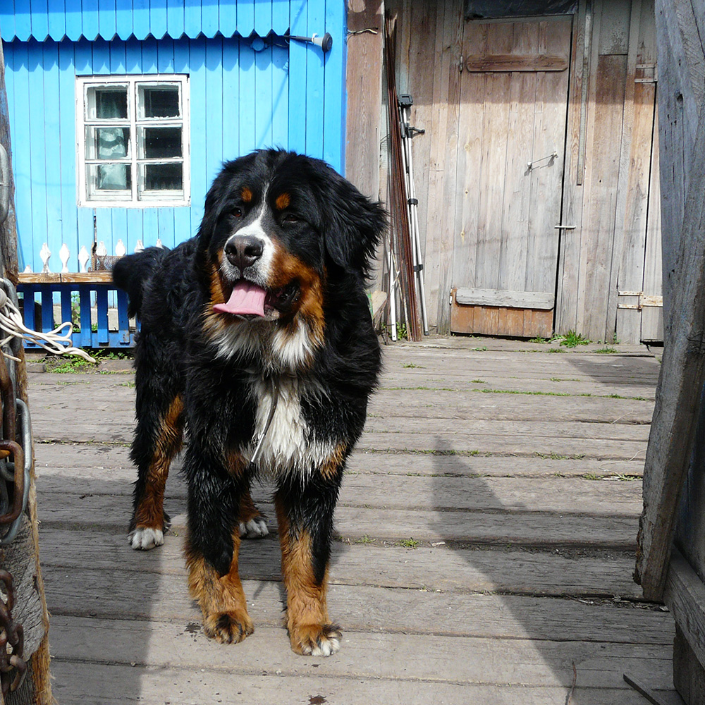 P1080908-m.JPG
