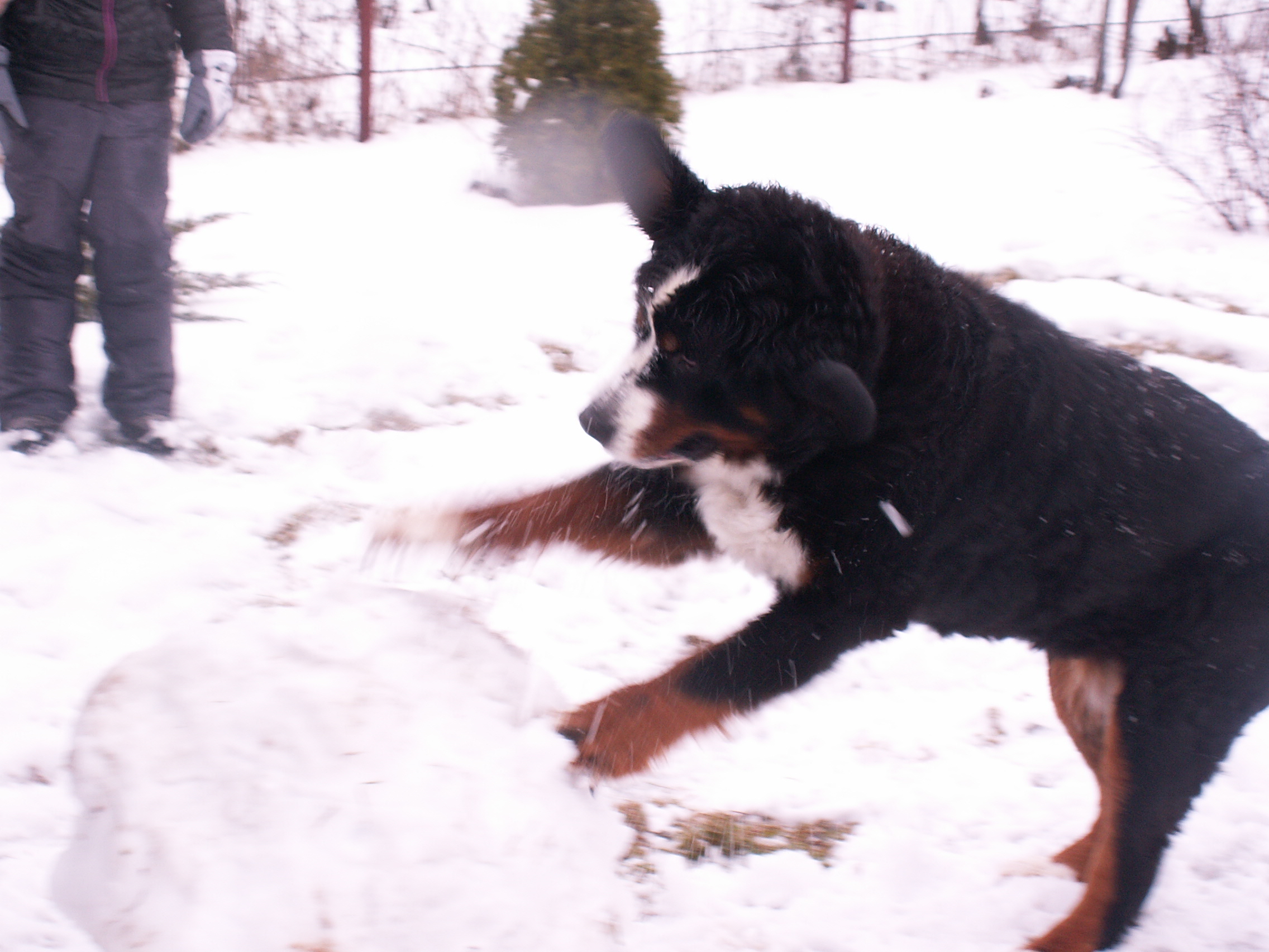 PICT0172.JPG