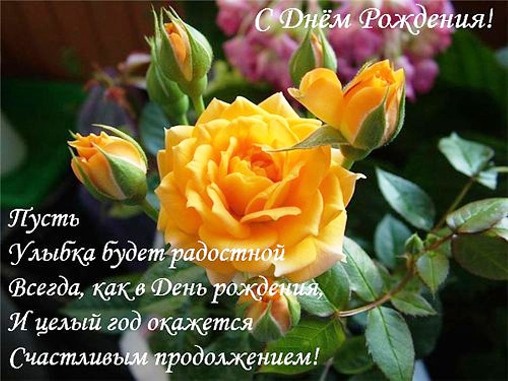 post-29300-0-91260700-1442217845.jpg