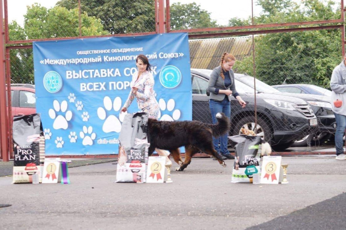 received_510182573060711.jpeg