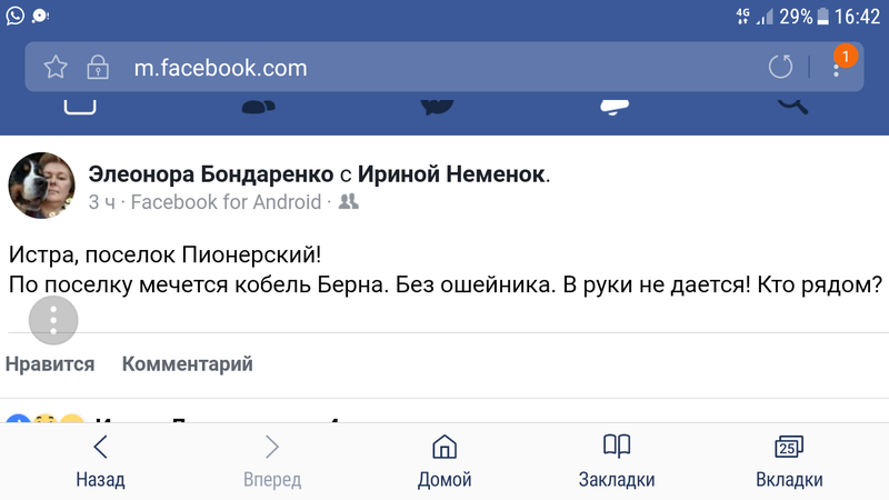Screenshot_20180525-164204.png