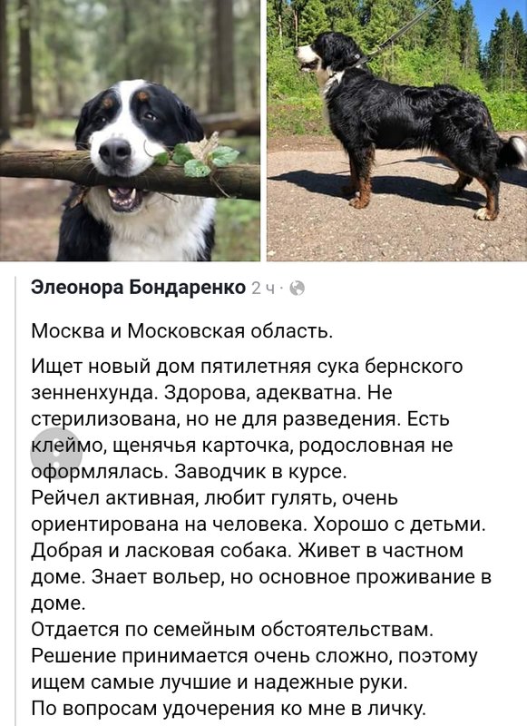 Screenshot_20180531-232056.jpg