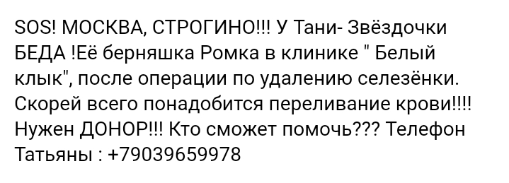 Screenshot_20181004-164918.jpg