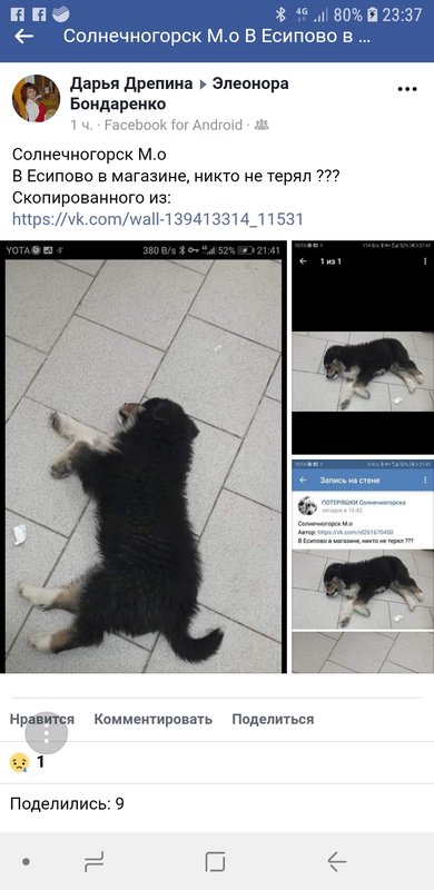 Screenshot_20190105-233718_Samsung Internet.jpg