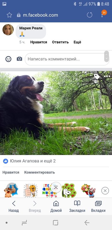 Screenshot_20190205-084859_Samsung Internet.jpg