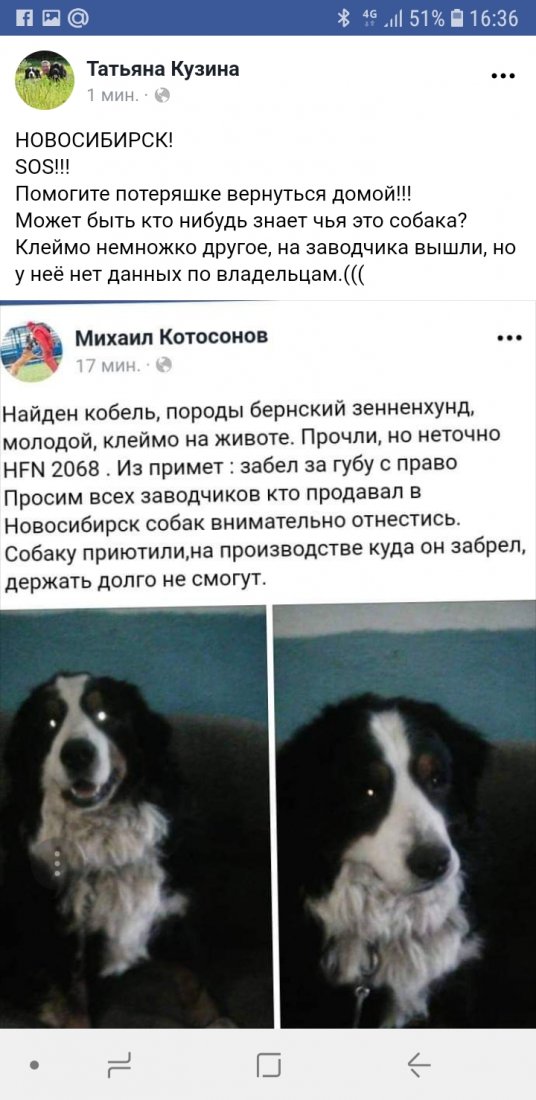 Screenshot_20190403-163615_Samsung Internet.jpg