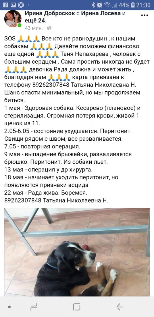 Screenshot_20190526-213020_Samsung Internet.jpg