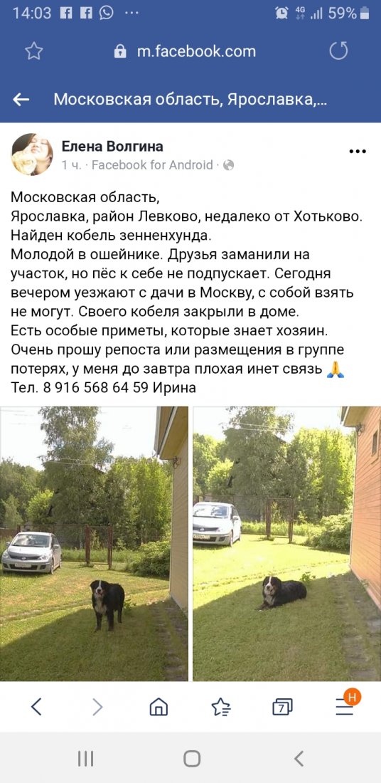 Screenshot_20190616-140333_Samsung Internet.jpg
