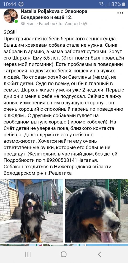 Screenshot_20190619-104442_Samsung Internet.jpg
