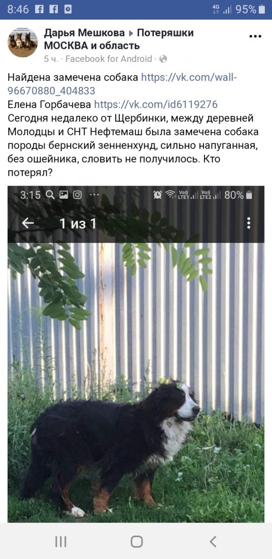 Screenshot_20190722-084646_Samsung Internet.jpg