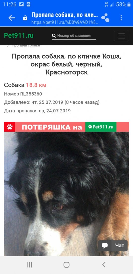 Screenshot_20190725-112626_Samsung Internet.jpg