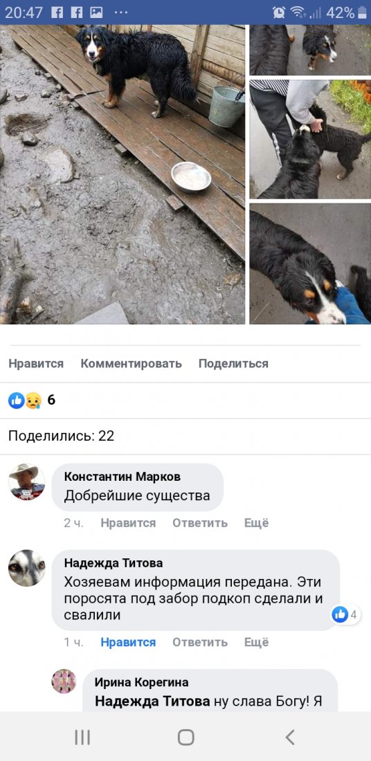 Screenshot_20190805-204745_Samsung Internet.jpg