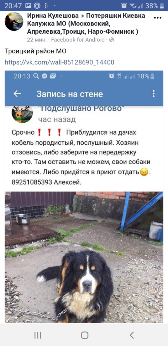 Screenshot_20190808-204714_Samsung Internet.jpg