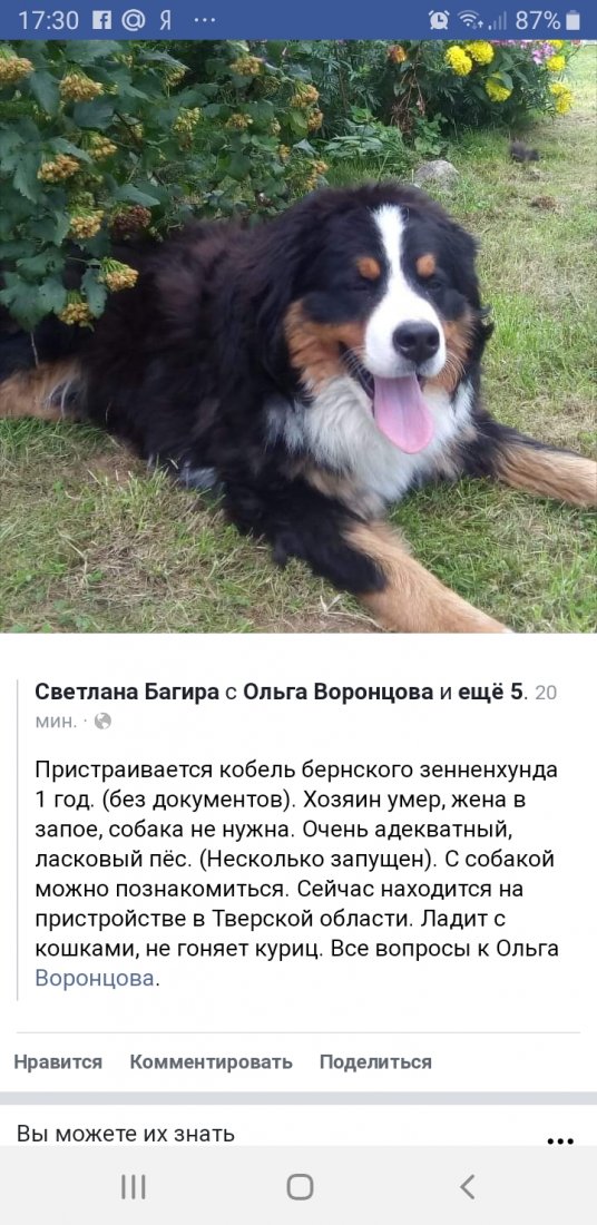Screenshot_20190901-173057_Samsung Internet.jpg