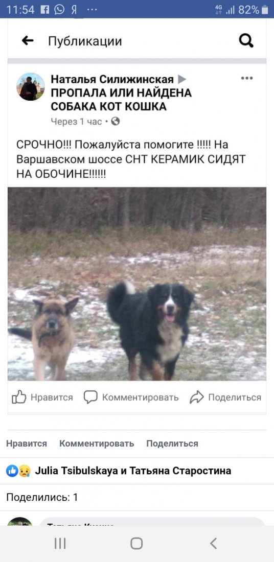 Screenshot_20191207-115430_Samsung Internet.jpg