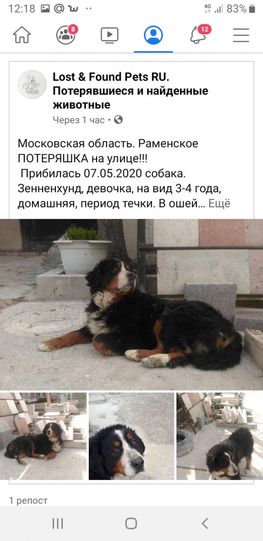 Screenshot_20200508-121824_Facebook.jpg