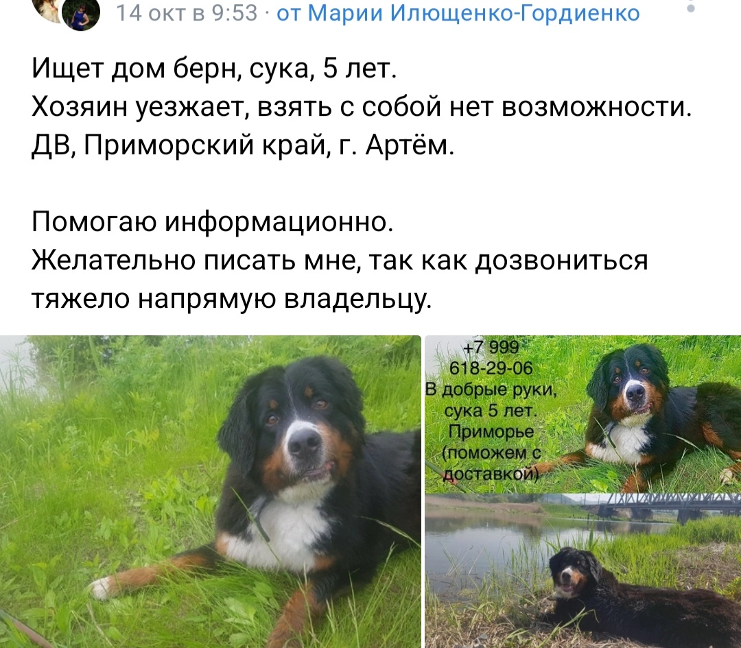 Screenshot_20221016-185838_VK.jpg