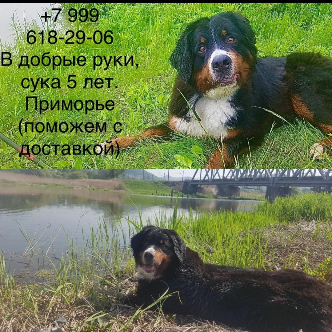 Screenshot_20221016-185847_VK.jpg