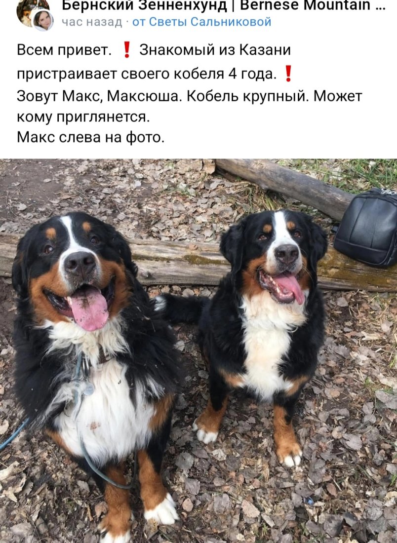 Screenshot_20221108-132102_VK.jpg