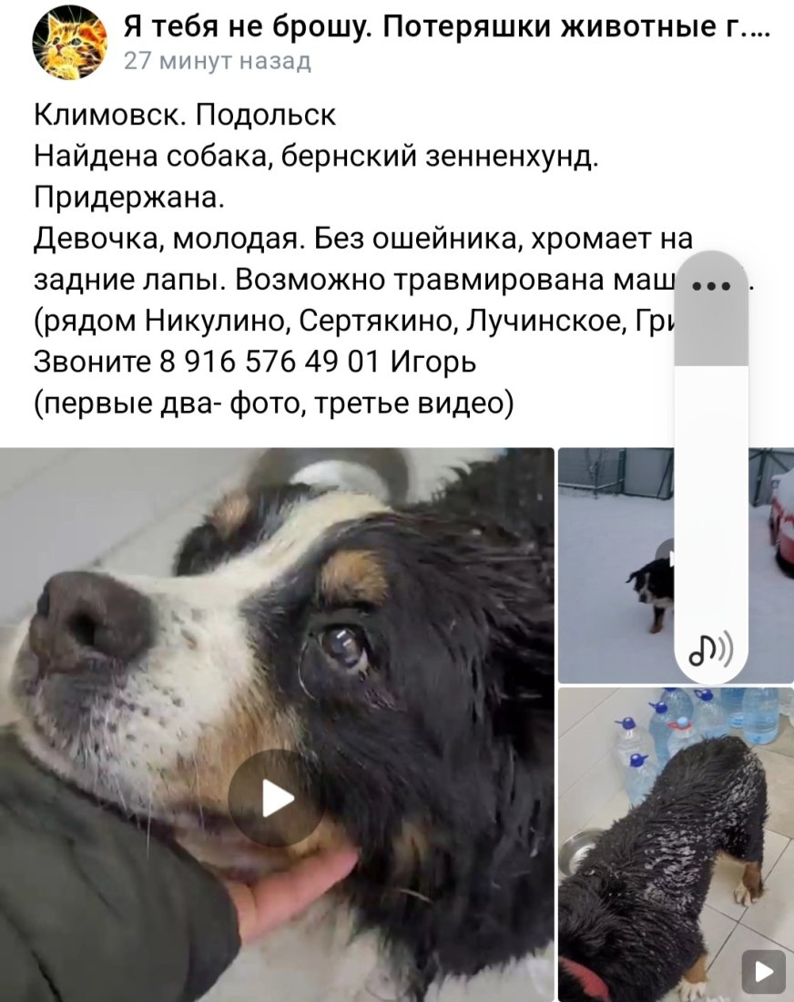 Screenshot_20221124-093933_VK.jpg
