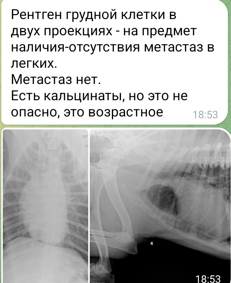 Screenshot_20221206-194812_Telegram.jpg