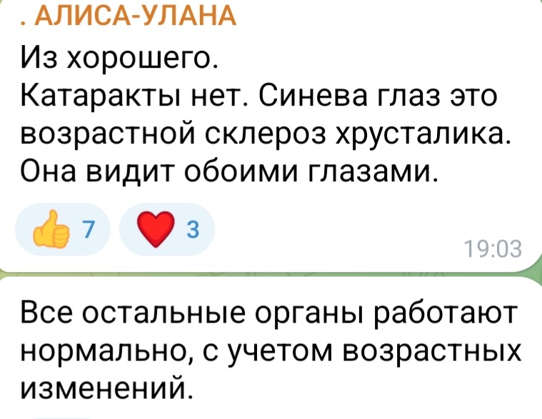 Screenshot_20221206-195100_Telegram.jpg