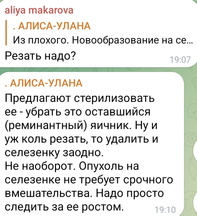 Screenshot_20221206-195142_Telegram.jpg